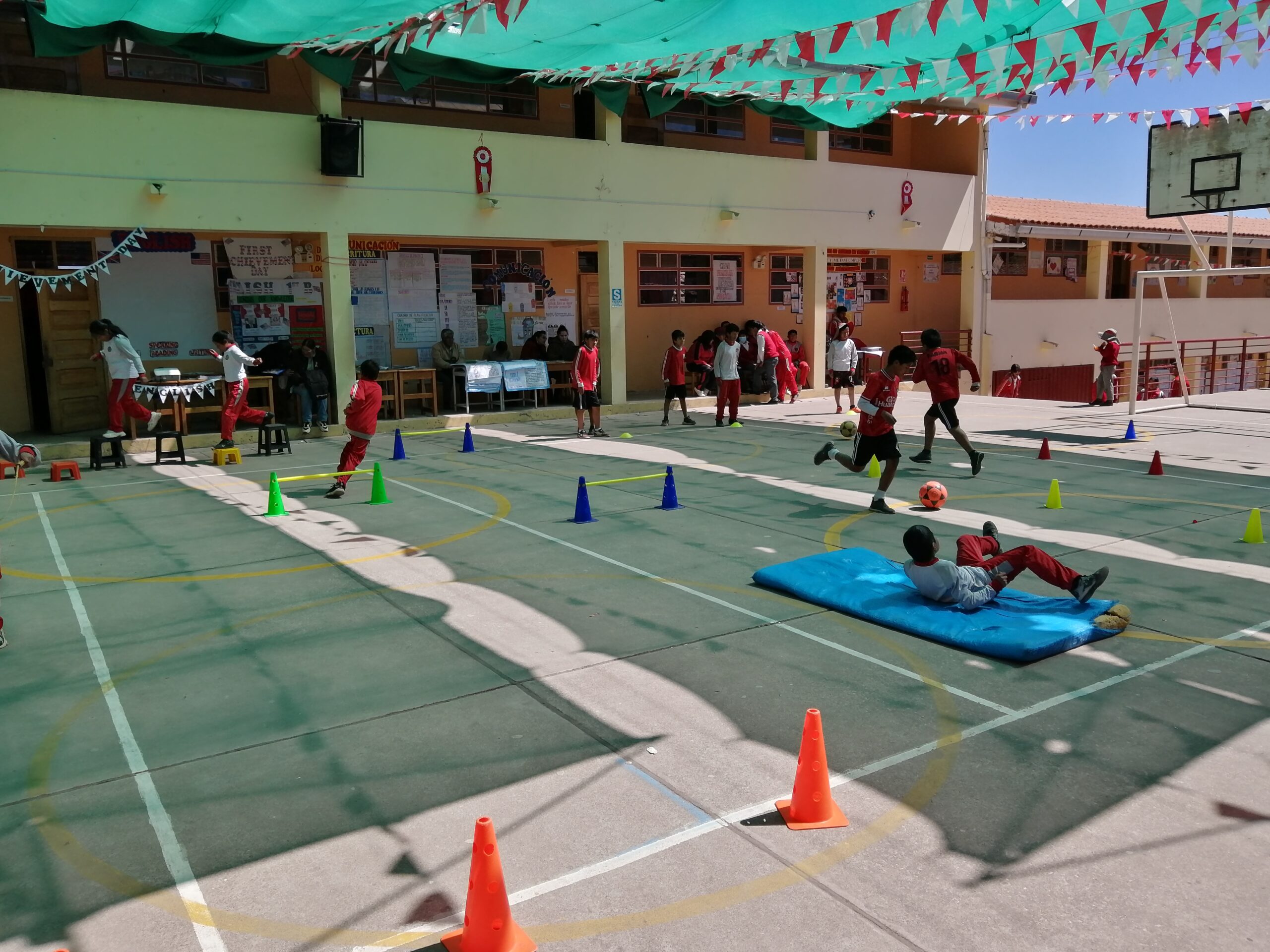 Actividad institucional